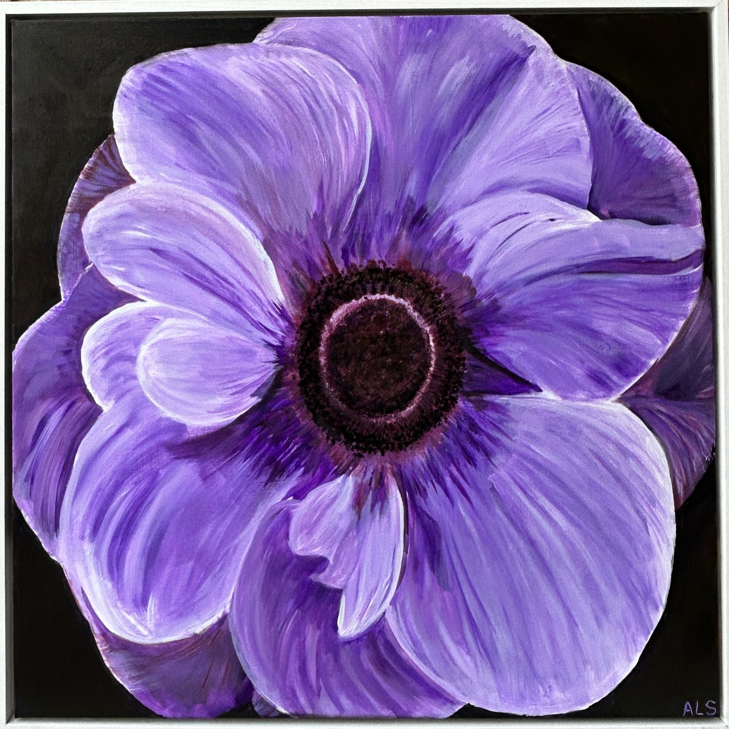 ‘Purple Anemone’ Floral