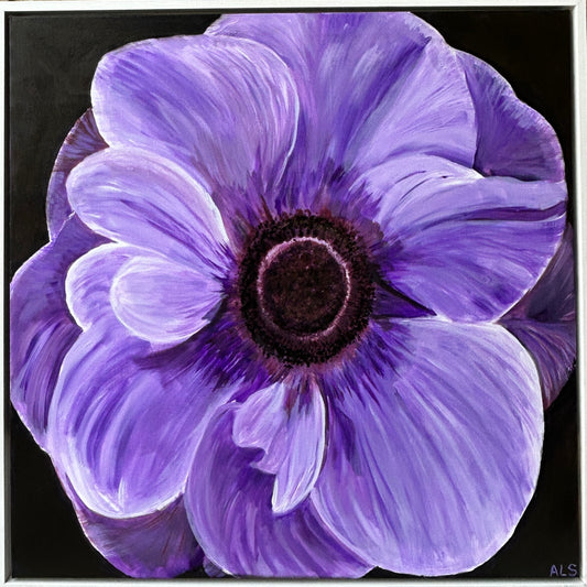‘Purple Anemone’ Floral