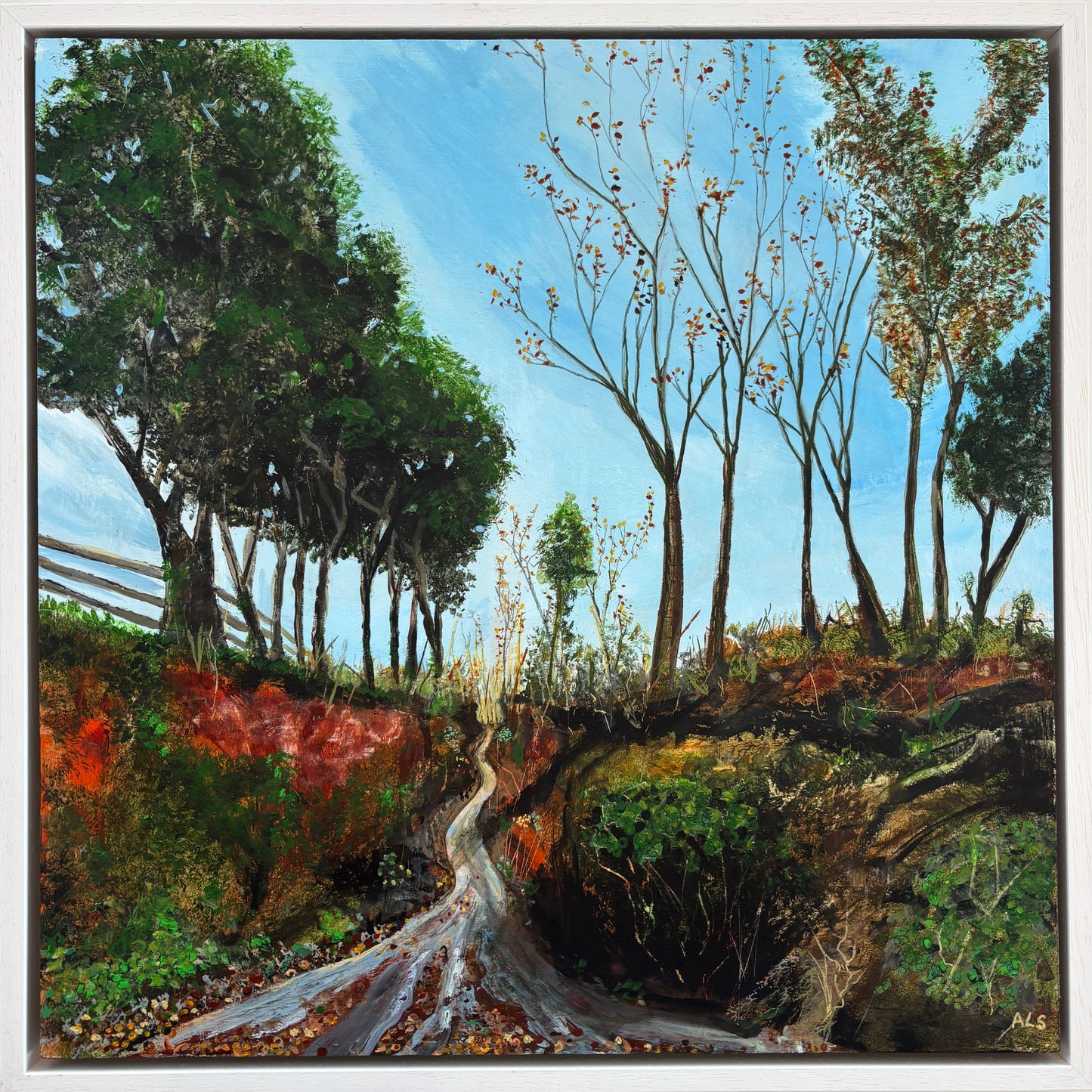 Where the Rain Wanders